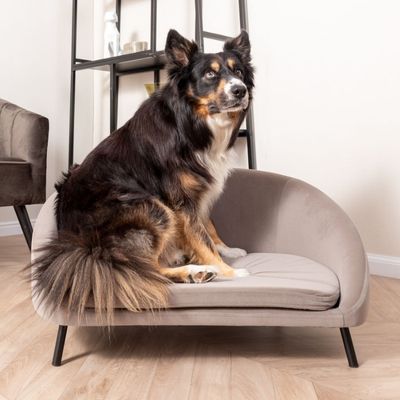 Pet Sofa Venue velvet warm grey [SALE]