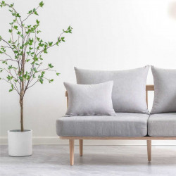 Tea Tree H150 [Display]