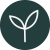 sustainable plantations