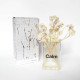 Calm Diffuser 100mL