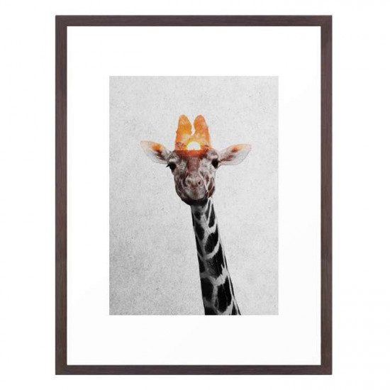 Giraffe - Walnut Medium