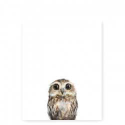 Little Owl art print - Small