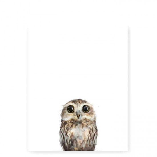 Little Owl art print - Small