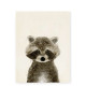 Black Bear - Small
