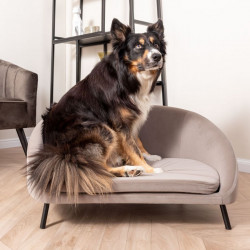 Pet Sofa Venue velvet warm grey [SALE]