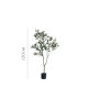 The Olive Tree H150