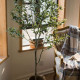 The Olive Tree H150
