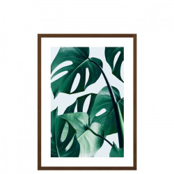 Monstera - Medium, Framed with White