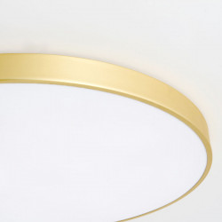 NOR Plus Brass, Switchable 