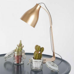 Barefoot Lamp - Brass [DISPLAY]