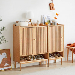 ELGIN Linear Shoe Cabinet, 2 doors