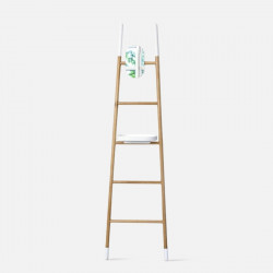 Ladder Rack with mirror and tray