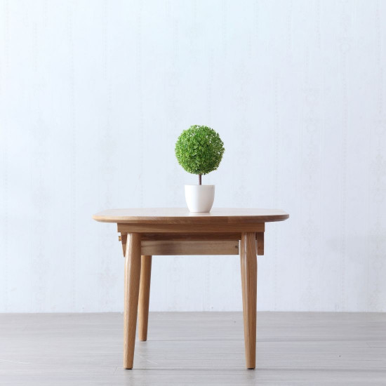 DOLCH Coffee Table, W120, Oak DOLCH Coffee Table, W120, Oak