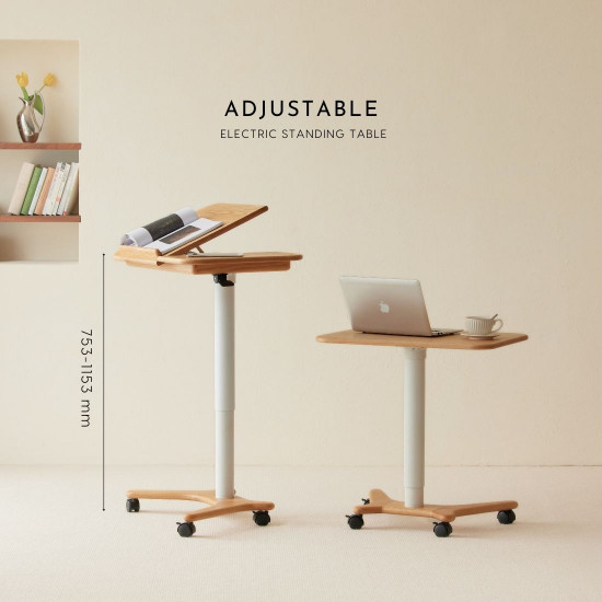 RENZ Adjustable Mini Desk 