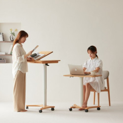 RENZ Adjustable Mini Desk 