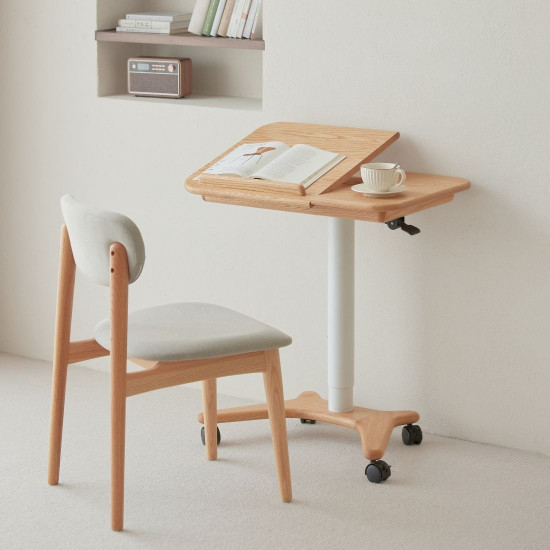 RENZ Adjustable Mini Desk 