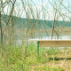G Wood Bench, Ash [Display]