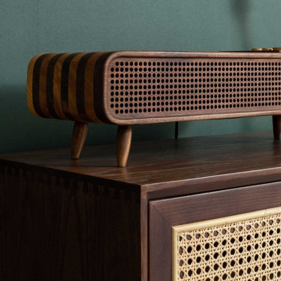 SEN Bluetooth Speaker & Radio 