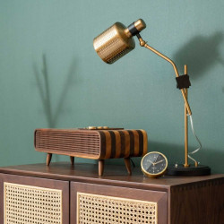 SEN Bluetooth Speaker & Radio 