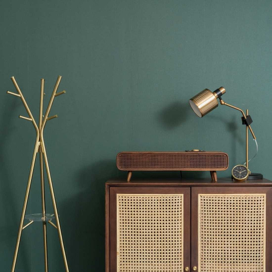 SEN Bluetooth Speaker & Radio 