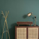 SEN Bluetooth Speaker & Radio 